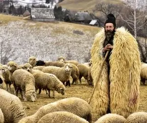 آواز اصیل؛ خواننده شمالی با لباس پلوخوری چوپانی میخونه ملت عشق کردن از استعدادش