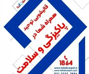 چگونه بوی بد مدفوع گربه را از مبل پاک کنیم؟