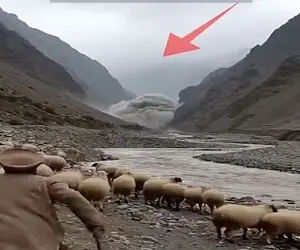 معماری طبیعت؛ سیل گوسفندای چوپان رو خورد