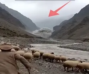 معماری طبیعت؛ سیل گوسفندای چوپان رو خورد