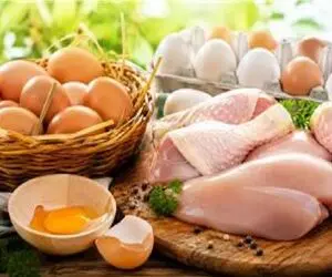 قیمت تخم مرغ امروز شنبه 31 مرداد 1405 / کاهش 40 هزار تومانی