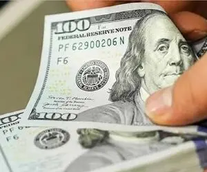 آخرین قیمت دلار امروز شنبه 17 مرداد 1405 / احتمال افزایش میل دلار به کاهش بیشتر