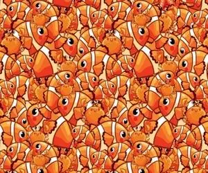 بازی فکری؛ فقط۱٪ افرادی که چشم کوسه‌ای دارن میتونن ستاره دریایی رو بین نموها پیدا کنن