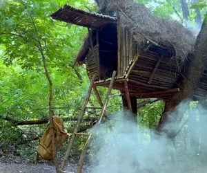 معماری خلاقانه؛ آقاهه رفته بالای درخت یه کلبه نقلی واسه خودش ساخته پله هاشو نگا