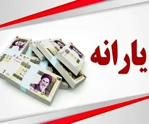فوری فوی| جزئیاتی از زمان واریز یارانه تیر ماه 1405