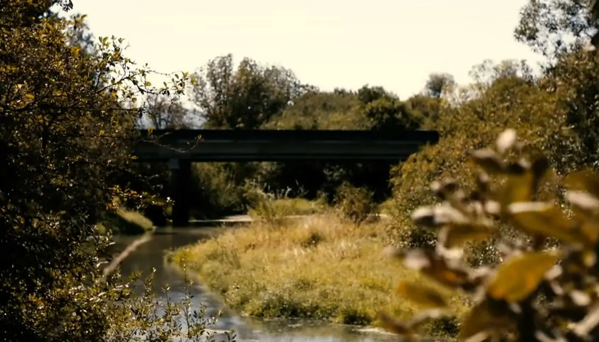 هنری برودوس قاتل سریالی علاقه مند به پا