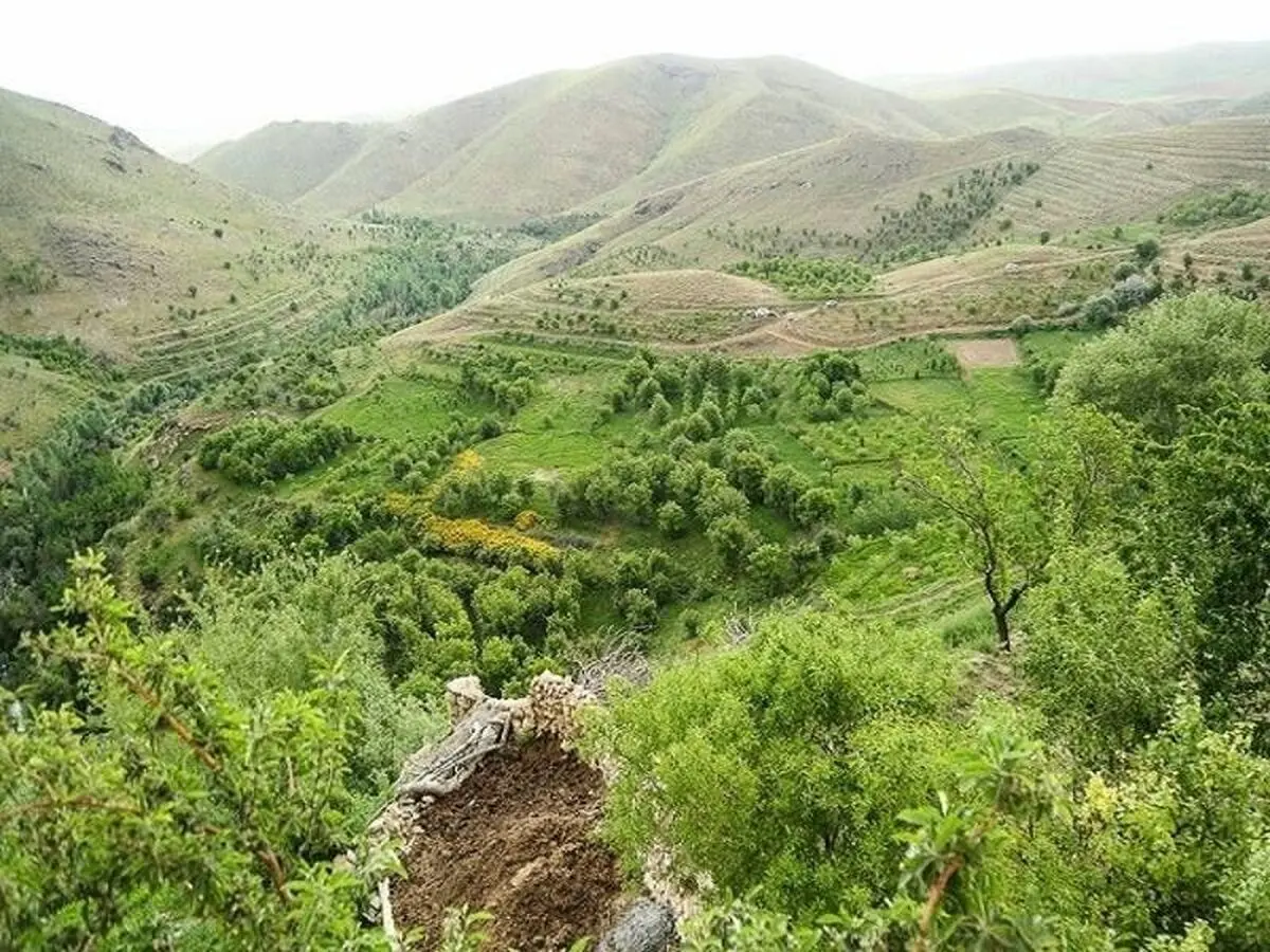 روستا1