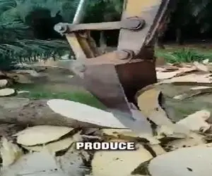 آهن آلات ابرقدرت؛ ماشینه چوب رو عین سیب زمینی ورق کن ورقه ورقه میکنه چشات چارتا میشه