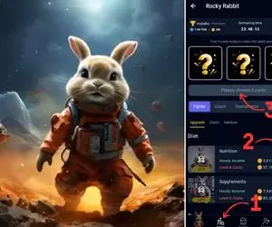 کارت های راکی رابیت (rocky rabbit) پنج شنبه و جمعه 1 و 2 شهریور+ آموزش