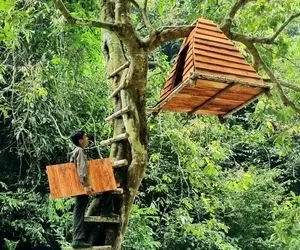 معماری خلاقانه؛ آقاهه خیال کرده گنجشکه رفته بالای درخت یه کلبه مثلثی واسه خودش ساخته