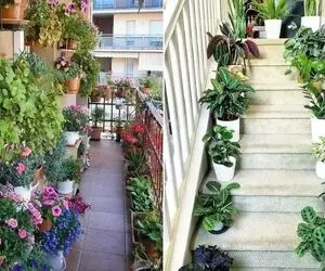 گیاهان مناسب هوای سرد در زمستان برای فضاهایی مثل راه پله های سرد، پارکینگ و بالکن