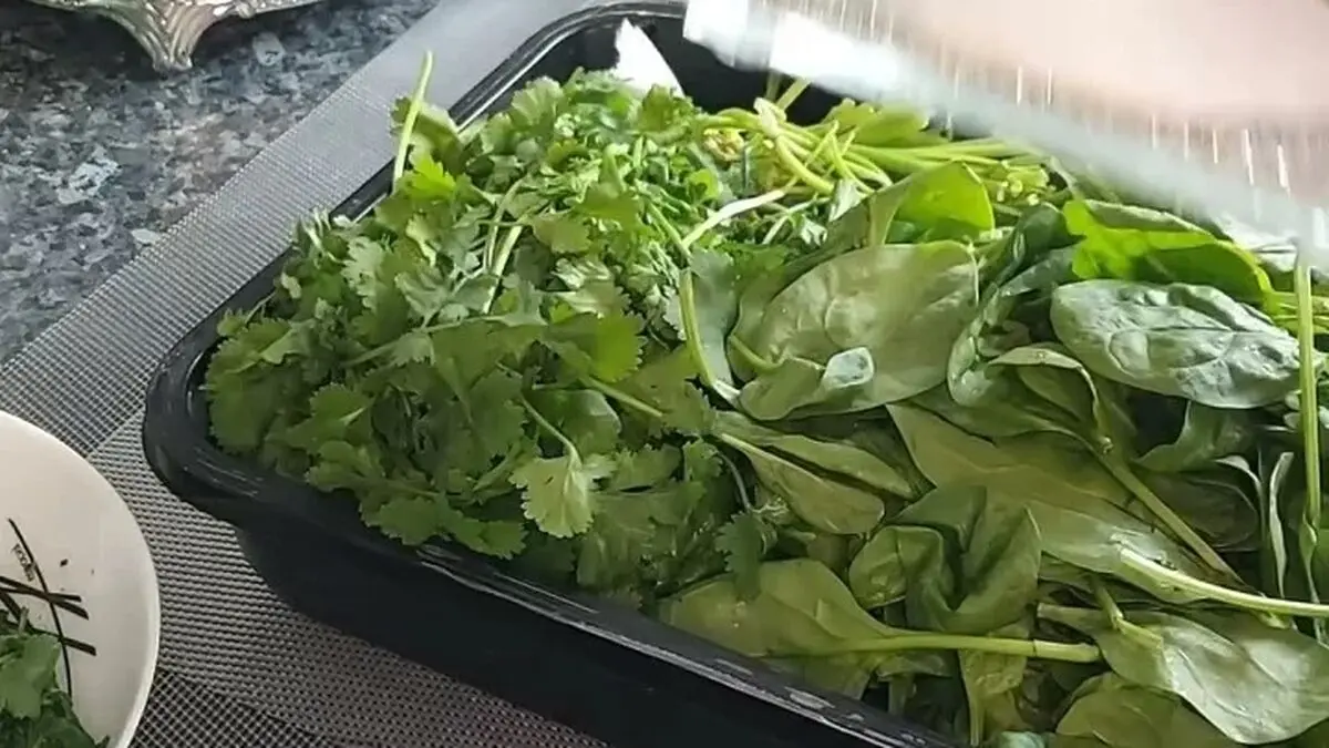 سبز1
