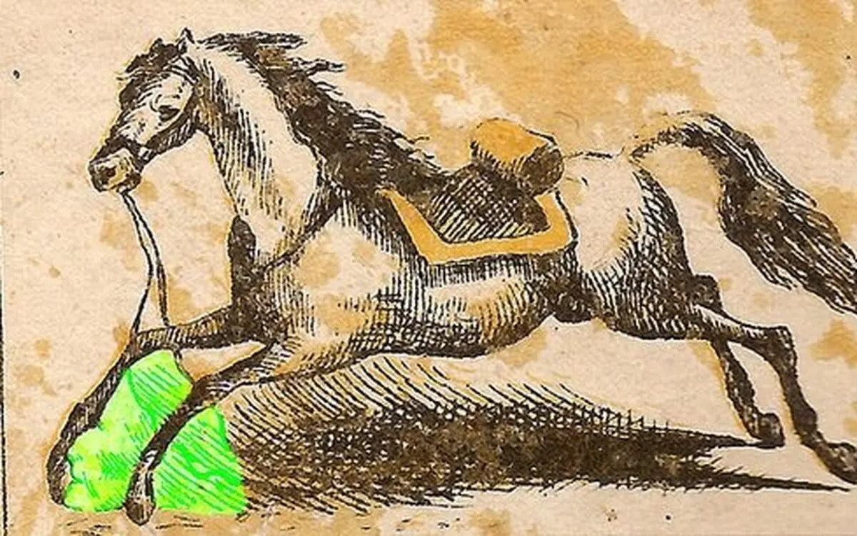 داوود