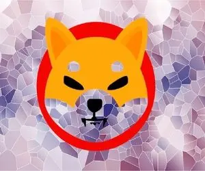 آیا زمان فروش شیبا اینو فرا رسیده است؟