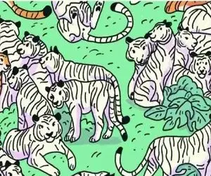 بازی فکری؛ مهارت‌ و توانایی‌ لازم برای نجات گورخر راه راه دام افتاده بین ببرها داری