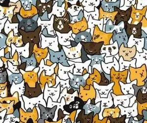 بازی فکری؛ دیدن خرگوش بین این همه گربه کار نوادگان انیشتینه