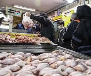 قیمت انواع مرغ امروز یکشنبه 18 مهر