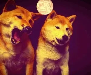 دوج کوین به زودی متحمل اتفاقی عجیب؟؟؟