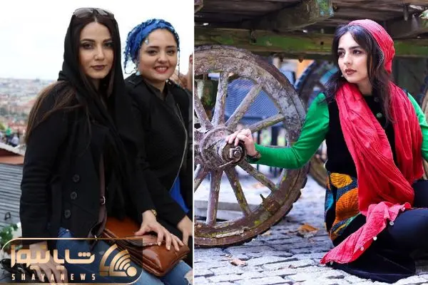 narges mohammadi shayaews