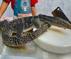 غذای چندش؛ کومودوی غول رو با ساطور اسلایس با جعفری مزه دار و سوخاریش کرد  