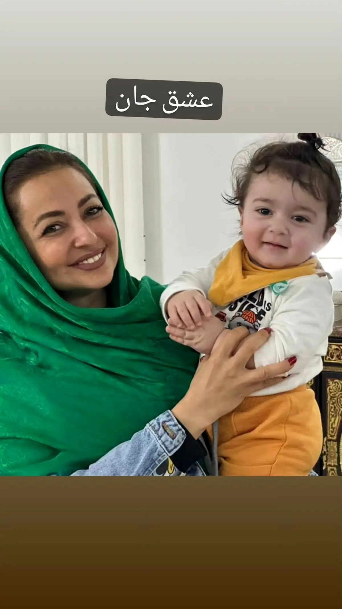 nafisehroshan_s+instagram+2023-6-8+story