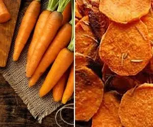 طرز تهیه چیپس هویج با سه روش / یه میان وعده سالم و عالی که نباید از دستش بدید