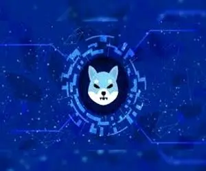 شیبااینو مثل برق سوخت!!