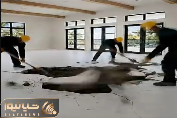 معماری خلاقانه؛ کف خونه رو میکنن فکر میکنی خرابکاریه نگو فن بازی دزدان کارائیبه