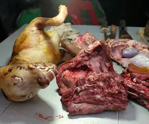 کباب سگ؛ سگای درشت سر میبرن با سس خردل سرو میکنن لاغرارو هم زنده به سیخ میکشن