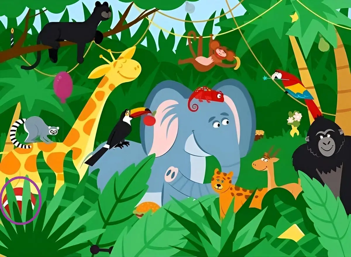 پاسخ-تست-بینایی-یافتن-توپ-میان-حیوانات-جنگل