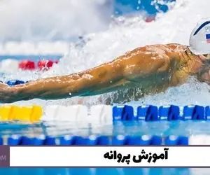آموزش شنا پروانه؛ لذت پرواز در آب برای همه!