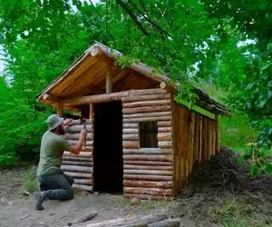 معماری خلاقانه؛ آقاهه تو جنگل واسه اینکه خرسا نخورنش یه کلبه چوبی ساخته سقفش چمن