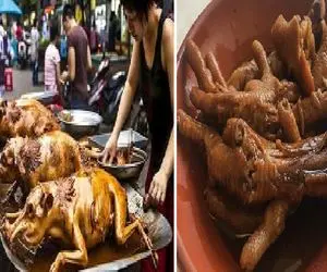 غذاهای خلاقانه؛ 20 غذای عجیب چین از نوزاد زنده مارماهیو هشت پا تا خیار دریایی