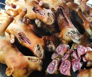 کباب سگ؛ سگ و کت بسته به صلیب میکشه میل داغ از دهنش رد میکنه بریونی شه بفروشه