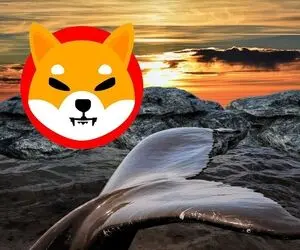 زیانی جبران ناپذیر متحمل شیبا شد؟
