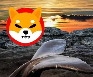 زیانی جبران ناپذیر متحمل شیبا شد؟