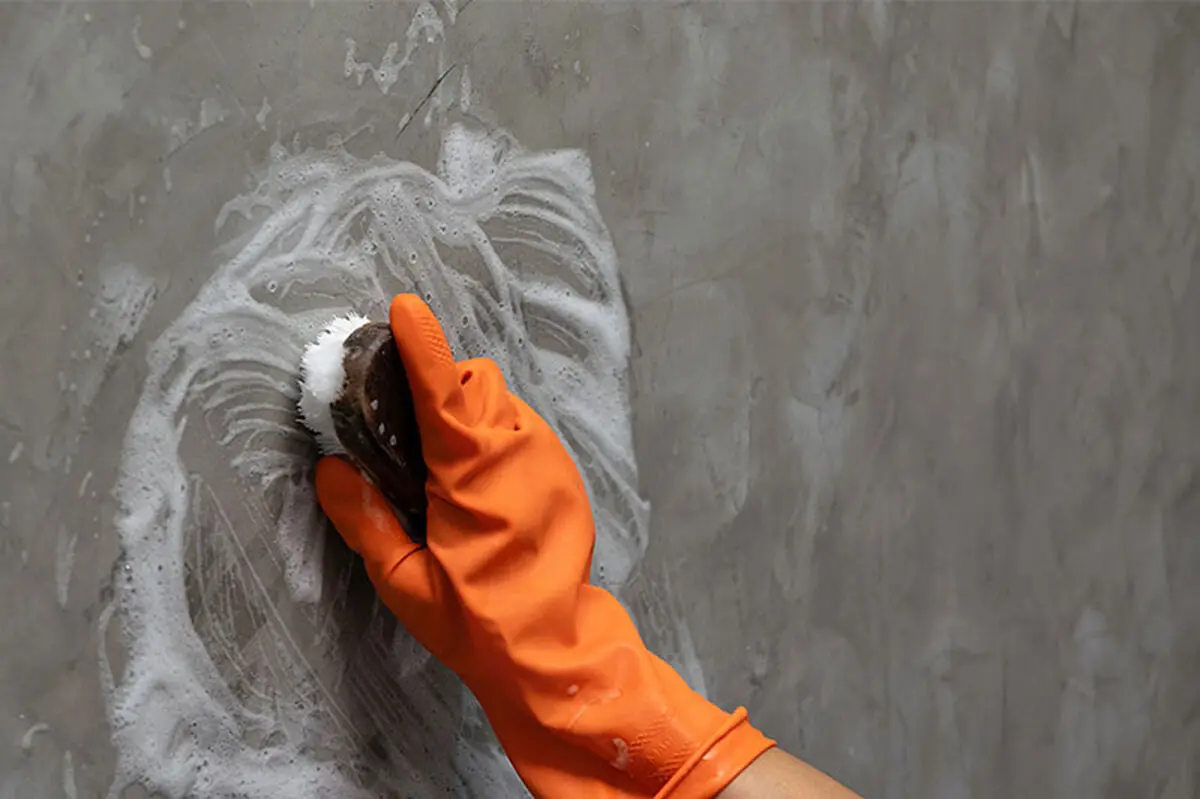 how-to-clean-wallpaper-step-3