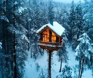 معماری خلاقانه؛ وسط جنگل نزدیک ابرا خونه نقلی 1000 پله ساخت زمستون از سرما یخ نزنه