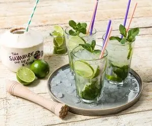 طرز تهیه موهیتو؛ ازون آبکی الکیا نیستا یه لیوان ازش بخوری جیگرت حال می یاد