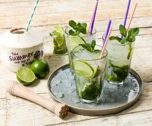 طرز تهیه موهیتو؛ ازون آبکی الکیا نیستا یه لیوان ازش بخوری جیگرت حال می یاد