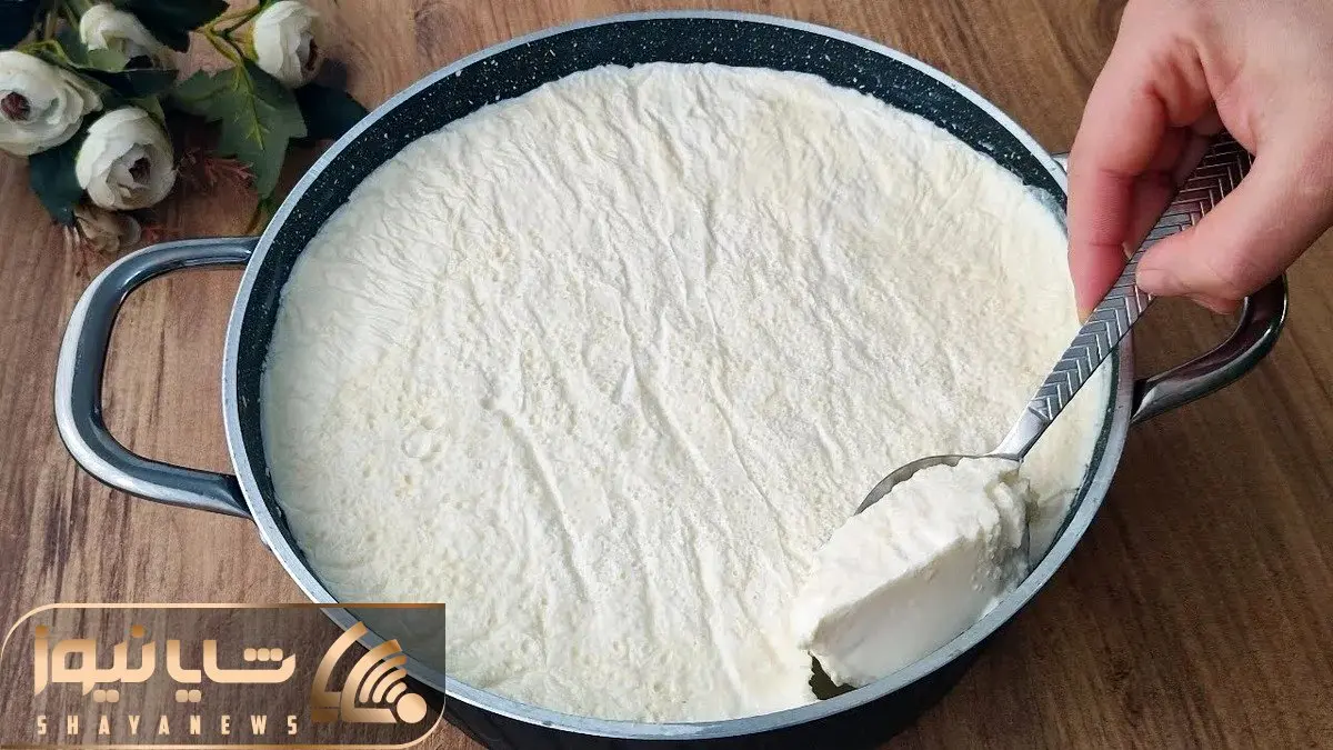 آموزش آشپزی؛ طرز تهیه ماست خونگی با نکات مهم سفت و خامه ای شدنش