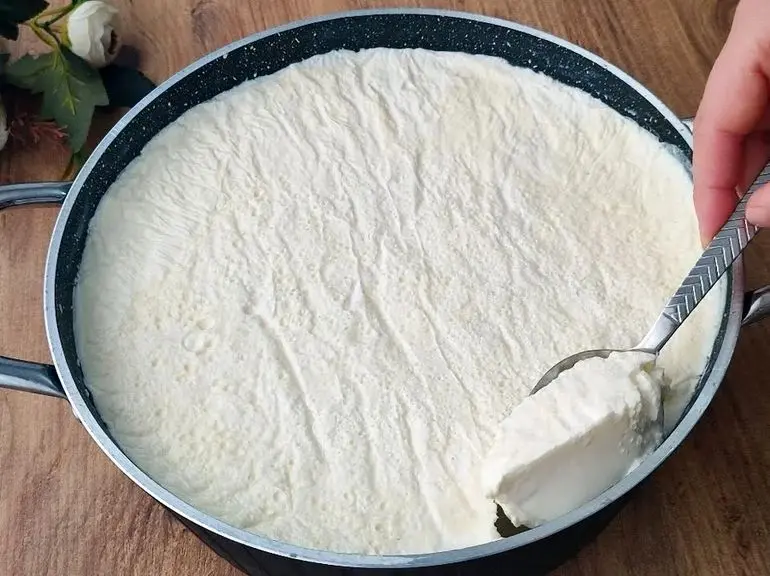 آموزش آشپزی؛ طرز تهیه ماست خونگی با نکات مهم سفت و خامه ای شدنش