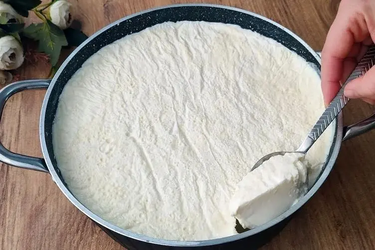 آموزش آشپزی؛ طرز تهیه ماست خونگی با نکات مهم سفت و خامه ای شدنش