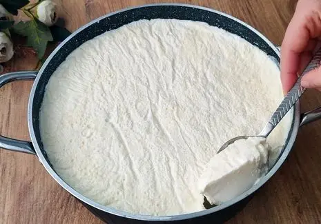 آموزش آشپزی؛ طرز تهیه ماست خونگی با نکات مهم سفت و خامه ای شدنش