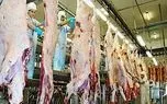 فرآوری خوک؛ سلاخی بی درد خوک لجن برای بهره از گوشت با تکنولوژی مدرن