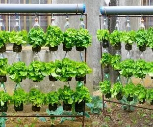 ایده های خلاقانه؛ با بطری های پلاستیکی آب معدنی یه باغچه ایستاده بساز شاهکار