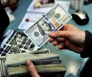 قیمت دلار صرافی ملی جمعه 19 دی