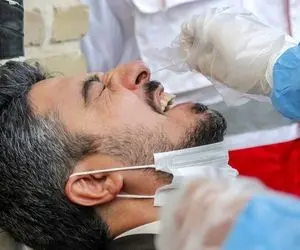 چه تعداد از زائران اربعین با تست مثبت کرونا وارد کشور شدند؟