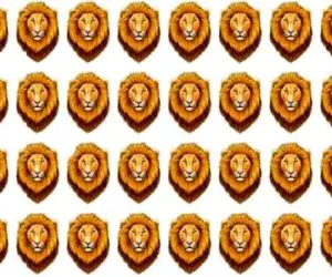 بازی فکری؛ اگه با هوشت یه قل دوقل بازی میکنی تو سلاطین جنگل شیر درنده متفاوت رو دریاب