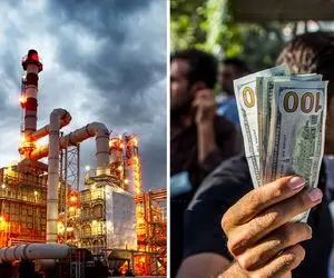 پتروشیمی‌ها ورود کردند برای رام کردن اسب چموش قیمت ارز اما دلار گران به نفعشان است!